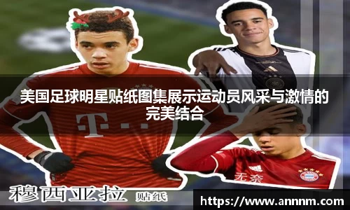 美国足球明星贴纸图集展示运动员风采与激情的完美结合